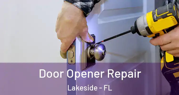  Door Opener Repair Lakeside - FL