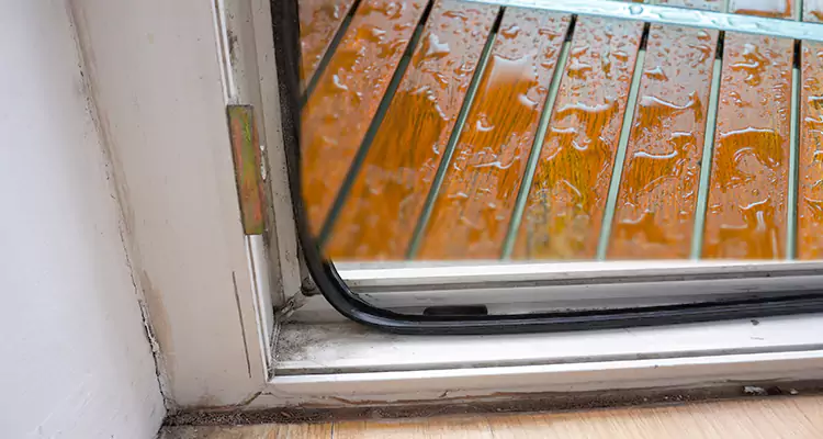 Water Leaking Wooden Patio Doors Repair in Lakeside, FL