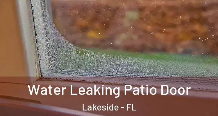  Water Leaking Patio Door Lakeside - FL